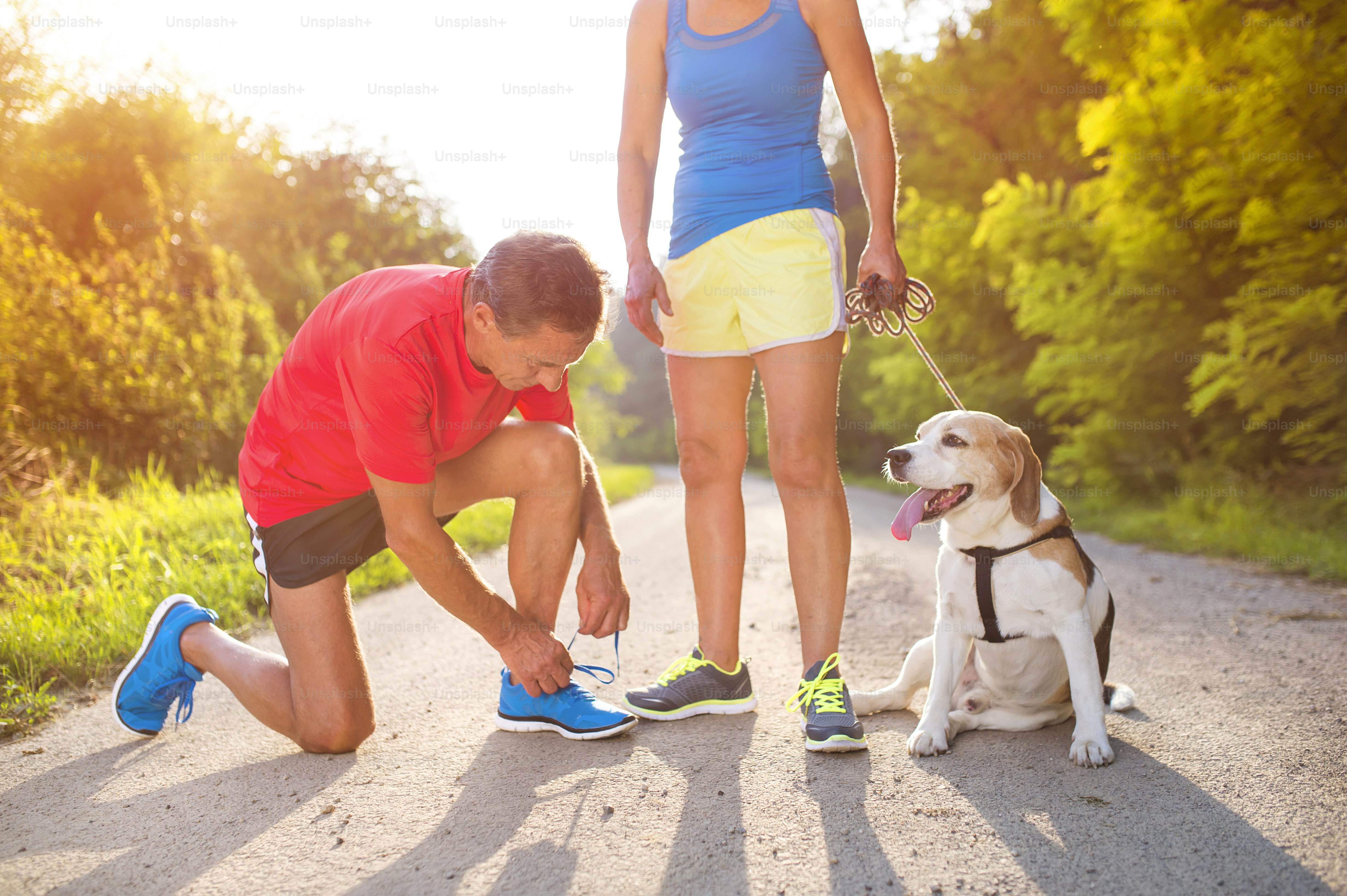 Active seniors getting ready for a run with their dog outside in green nature