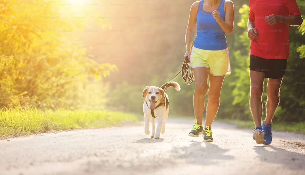 Active seniors running with their dog outside in green nature