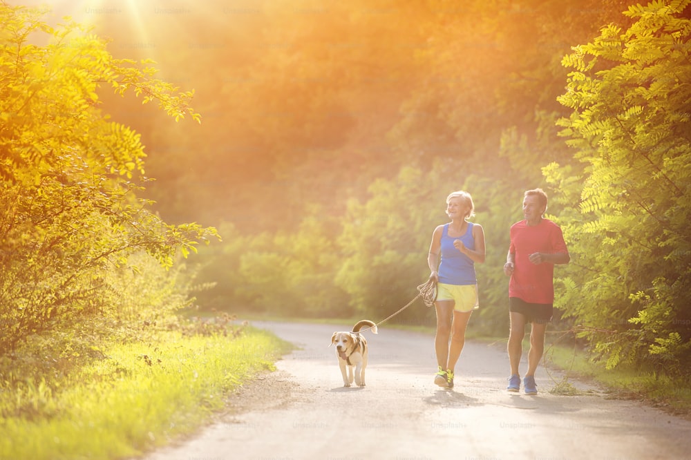 Personas mayores activas corriendo con su perro afuera en la naturaleza verde