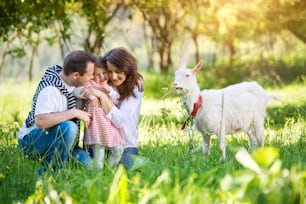 Família jovem feliz passando o tempo juntos ao ar livre na natureza verde com uma cabra.