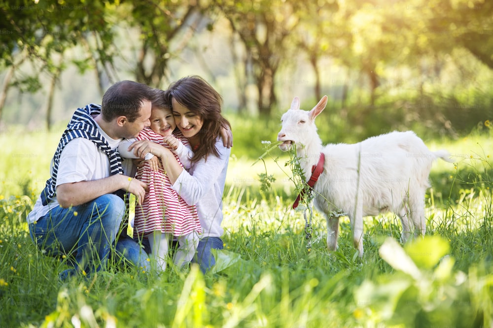 Happy young family spending time together outside in green nature with a goat.