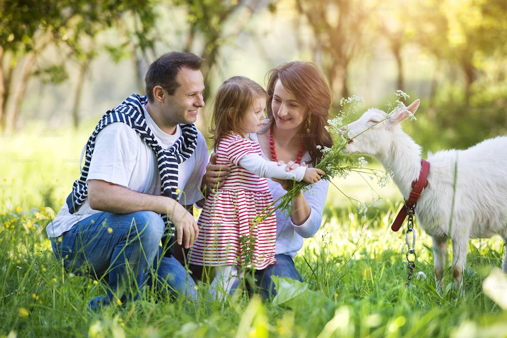 Happy young family spending time together outside in green nature with a goat.