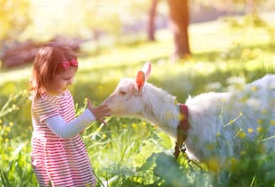 Cute little girl outside on a green meadow on a sunny summer day