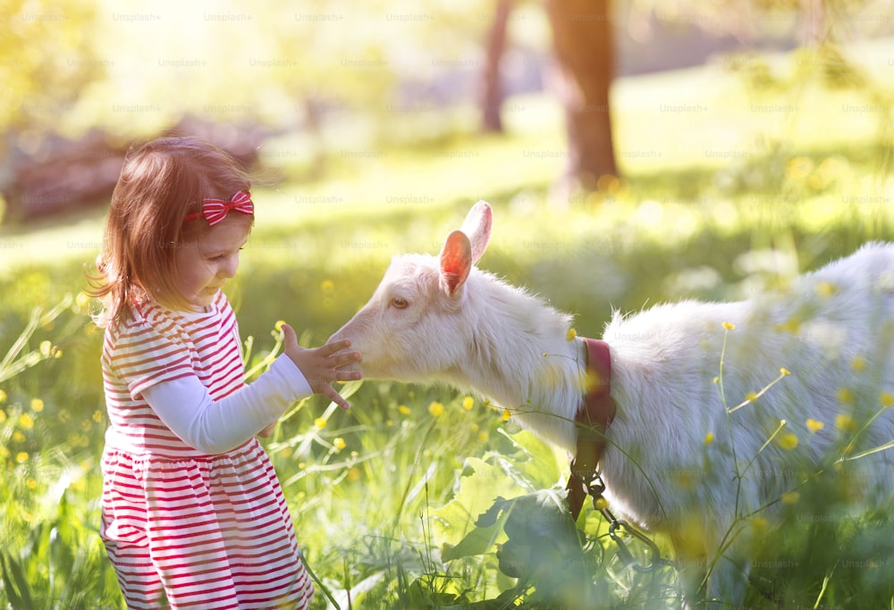 Cute little girl outside on a green meadow on a sunny summer day