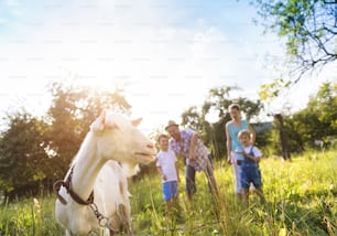 Giovane famiglia felice che trascorre del tempo insieme fuori nella natura verde con una capra.