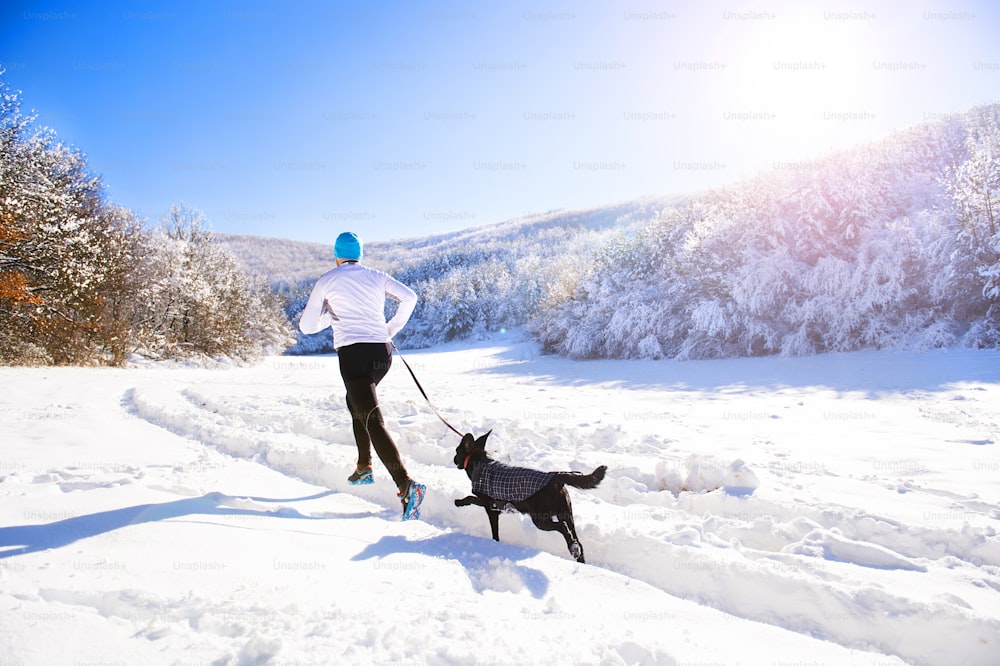 Junger Sportler joggt mit Hund draußen im sonnigen Winterpark