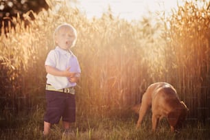 Little boy playing with his dog in the field in sunny day.