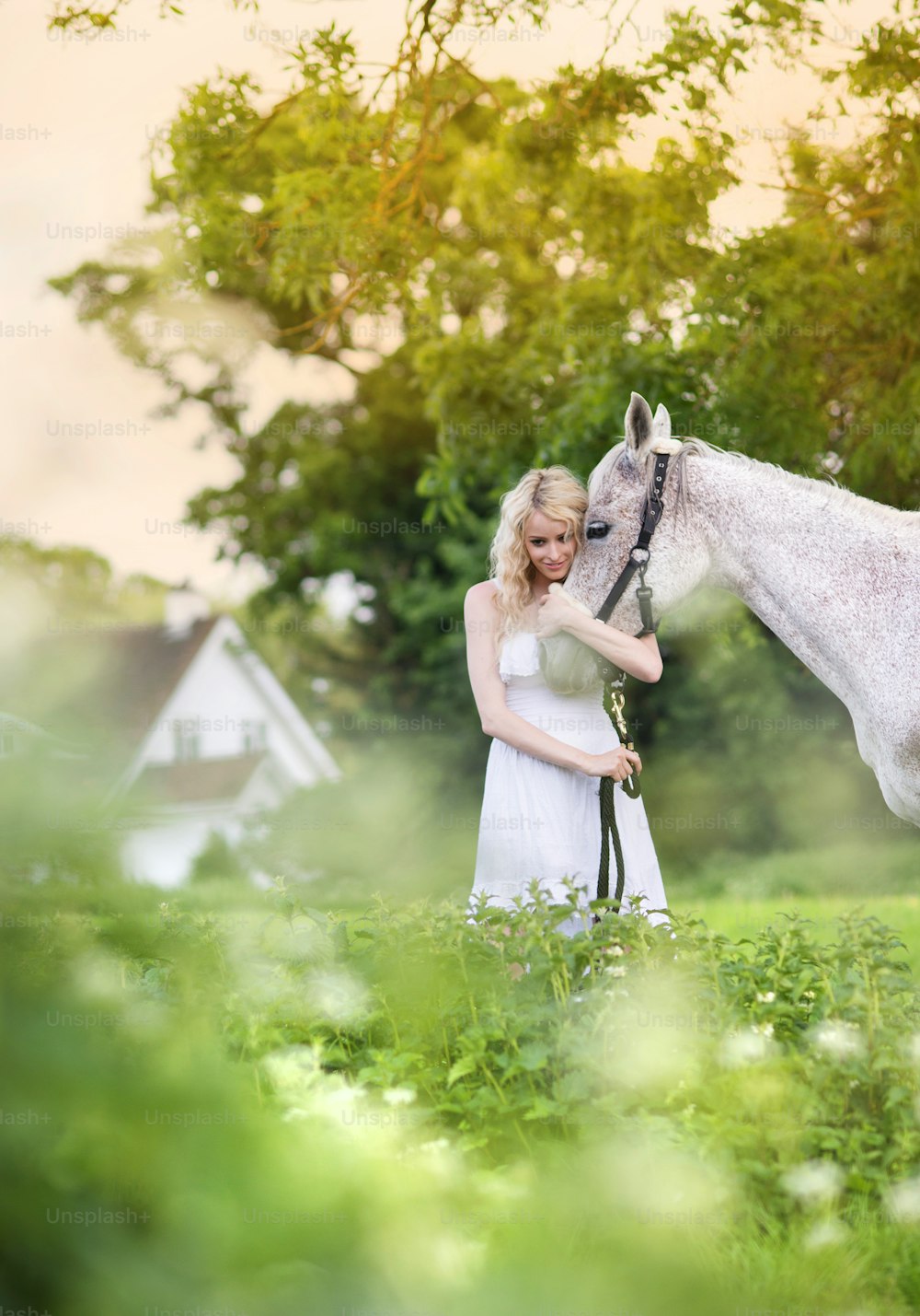 Mulher no vestido branco que anda com o cavalo no campo verde