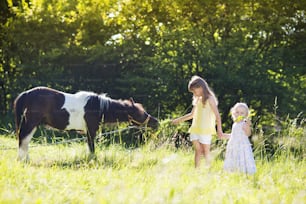 Ritratto di due sorelline che si divertono in campagna all'aperto, dando da mangiare al pony