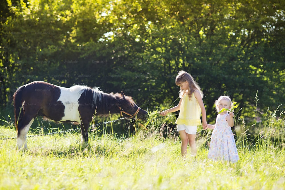Portrait de deux petites sœurs s’amusant à la campagne en plein air, nourrissant poney