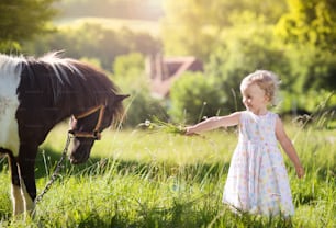 Ritratto di bambina che si diverte in campagna all'aperto, nutrendo pony