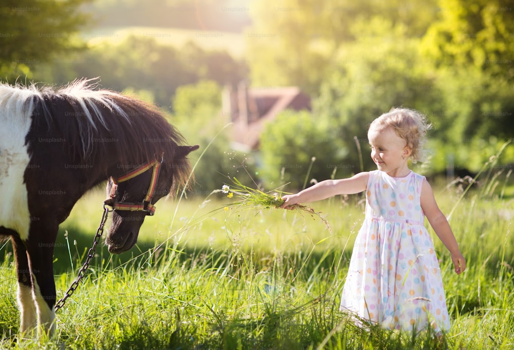 Portrait of tlittle girl having fun at countryside outdoors, feeding pony