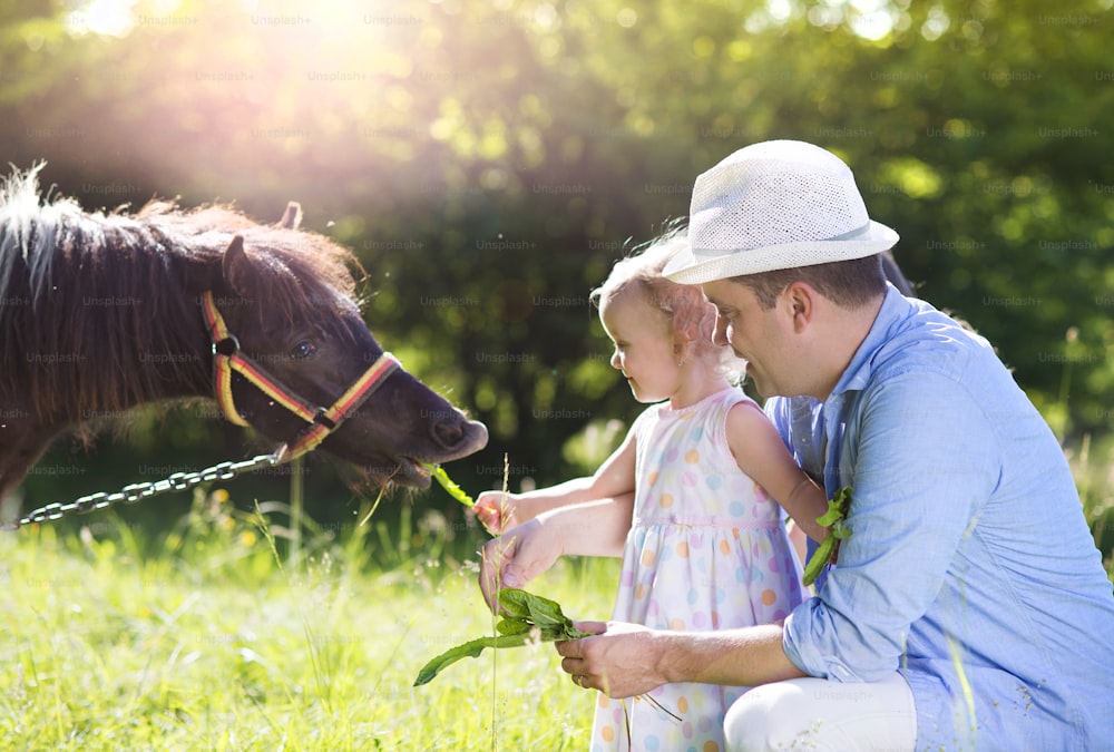 Ritratto di giovane padre felice con il suo dauhter in campagna all'aperto, nutrendo pony
