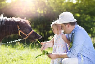 Portrait d’un jeune père heureux avec son barauchiste à la campagne en plein air, nourrissant un poney
