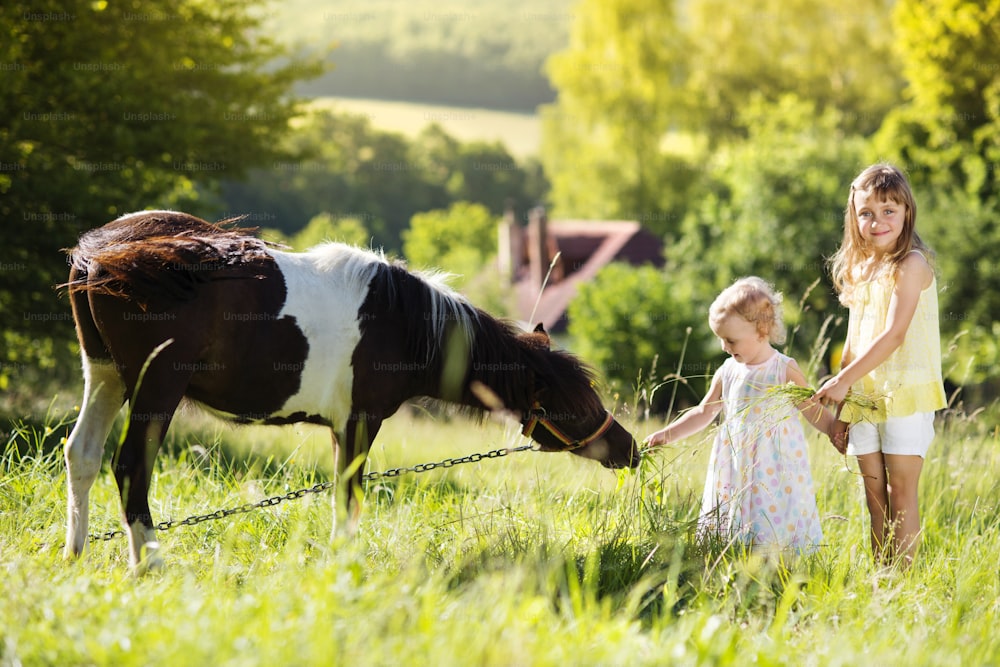 Portrait de deux petites sœurs s’amusant à la campagne en plein air, nourrissant poney
