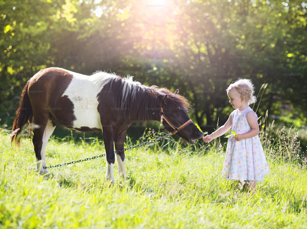 Portrait d’une petite fille s’amusant à la campagne en plein air, nourrissant un poney