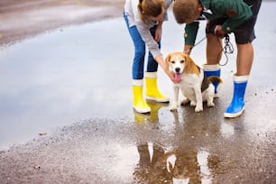 Pareja pasea perro bajo la lluvia. Detalles de botas de agua chapoteando en charcos.