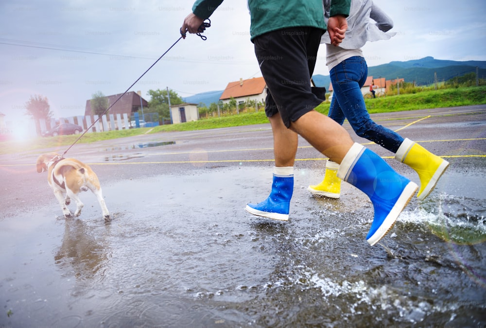 Un couple promène son chien sous la pluie. Détails des wellies éclaboussant dans les flaques d’eau.