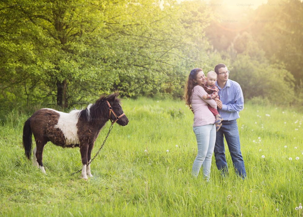 Glückliche Familie entspannt sich auf grüner Wiese mit Ponny