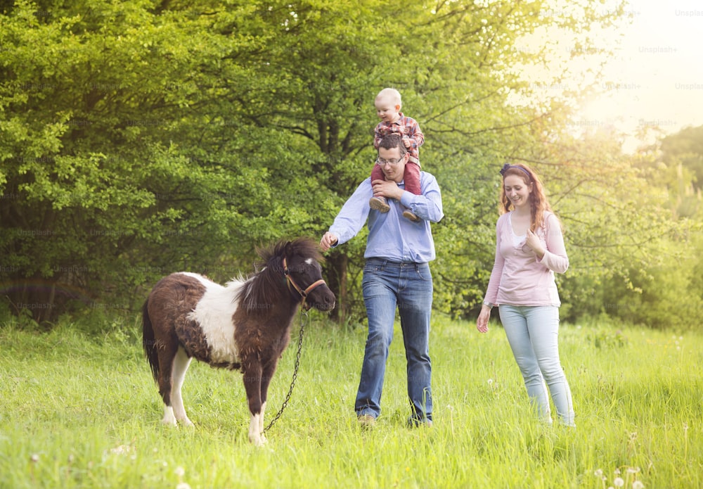 Glückliche Familie entspannt sich auf grüner Wiese mit Ponny