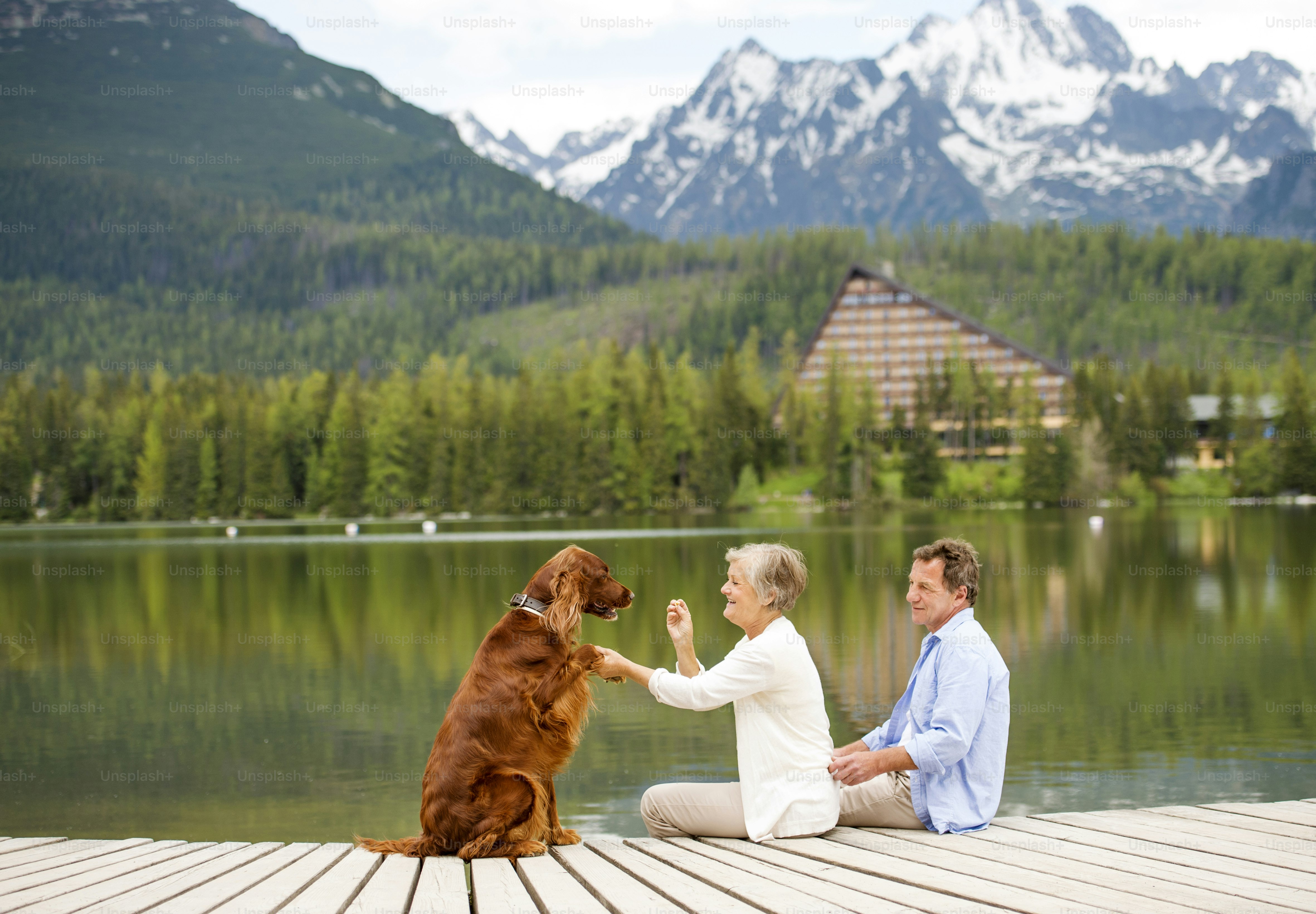 Senior couple with dog sitting on pier above the mountain lake with mountains in background