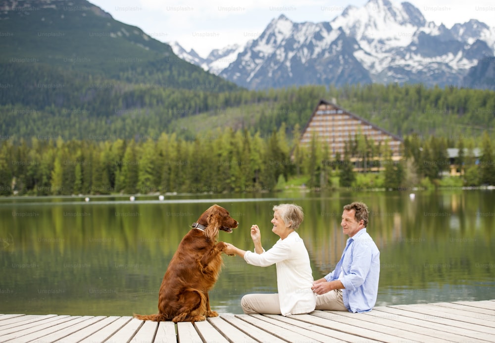 Coppia senior con il cane che si siede sul molo sopra il lago di montagna con le montagne sullo sfondo