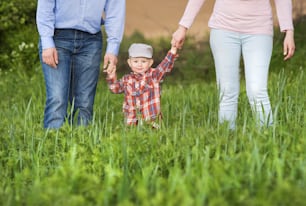 Happy family playing with son on the meadow