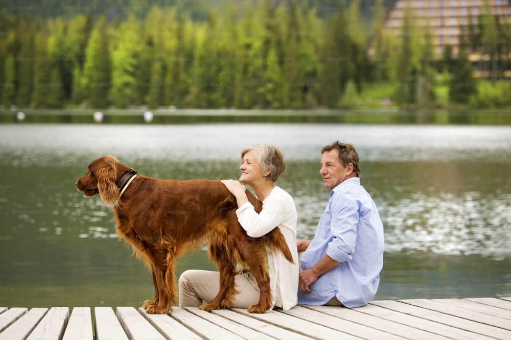 산을 배경으로 산 호수 위의 부두에 앉아 있는 개를 가진 노부부