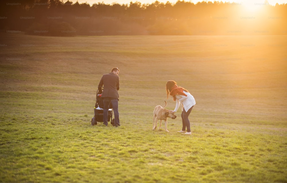 Famiglia felice e giovane con carrozzina e cane durante la passeggiata nella natura