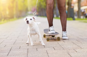 강아지와 함께 스케이트보드를 타는 십대 소녀의 다리 클로즈업