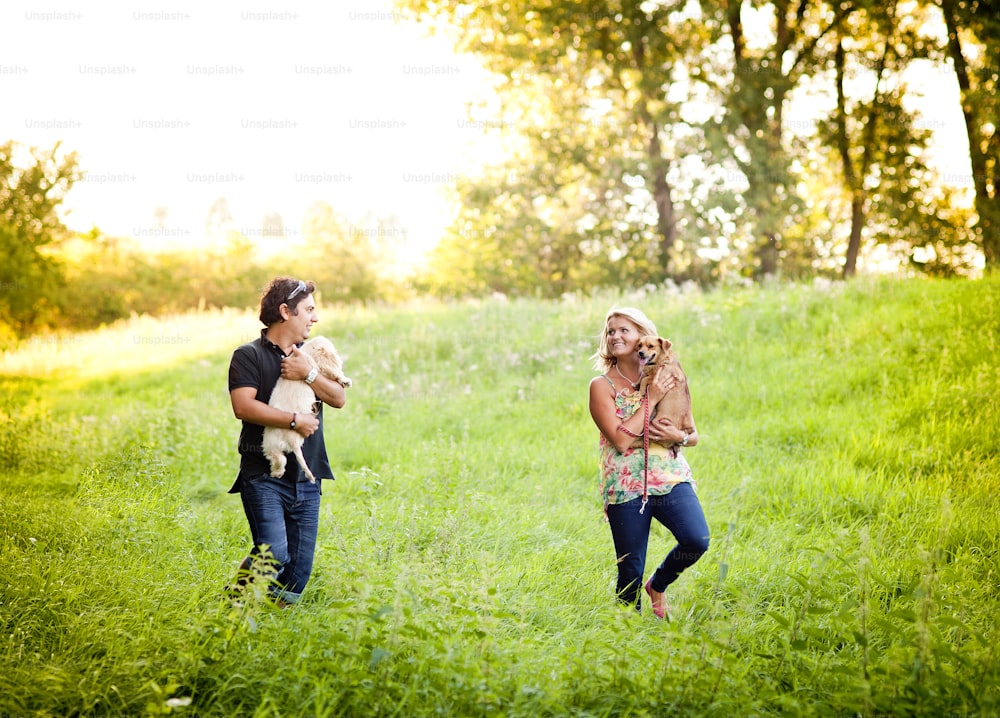 幸せな若い夫婦が緑の自然の中で2匹の犬を散歩させている