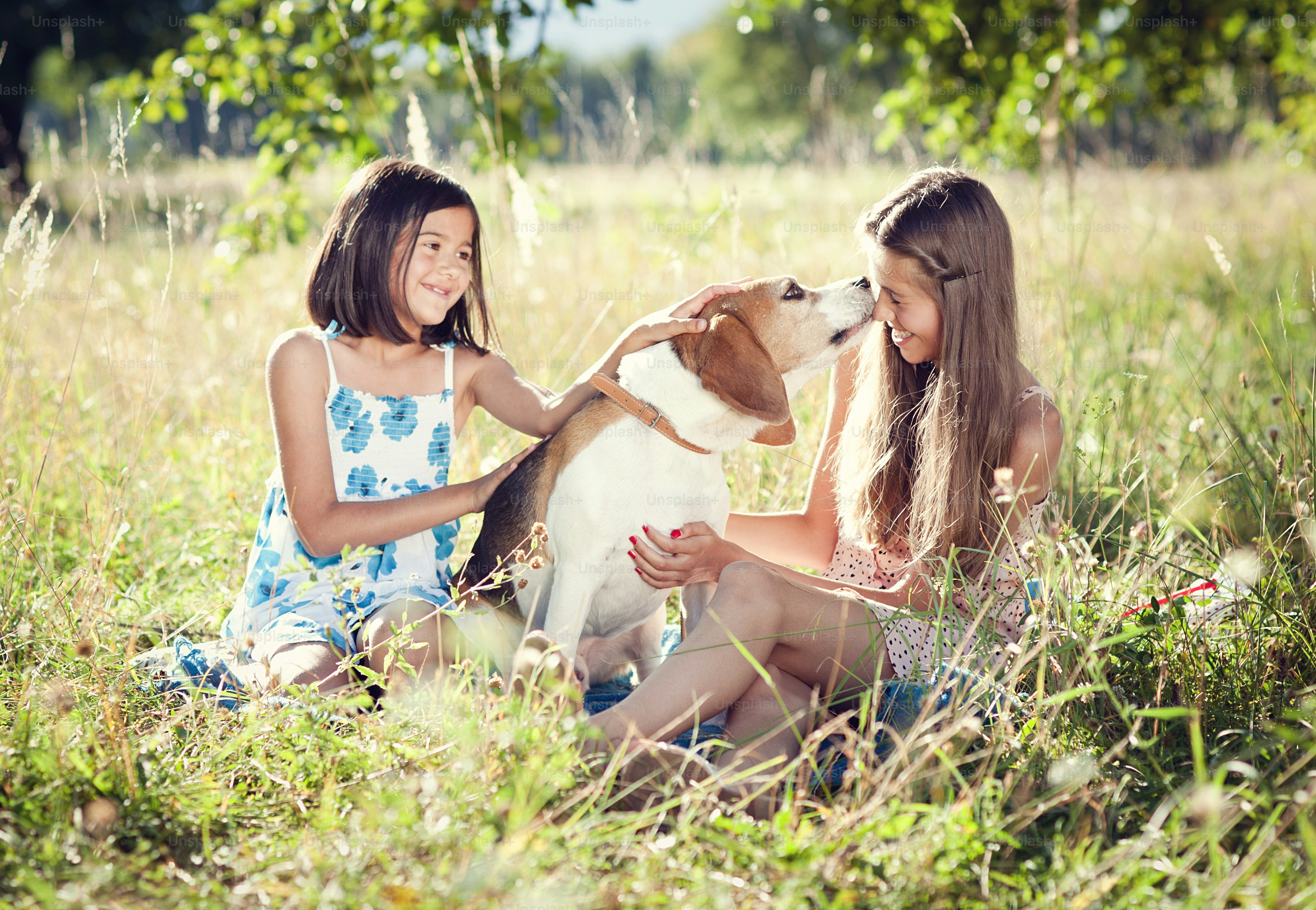 Dos hermanas jugando con su perro beagle en un parque verde y soleado ...