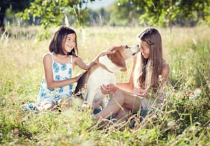 Two sisters playing with their beagle dog in green sunny park