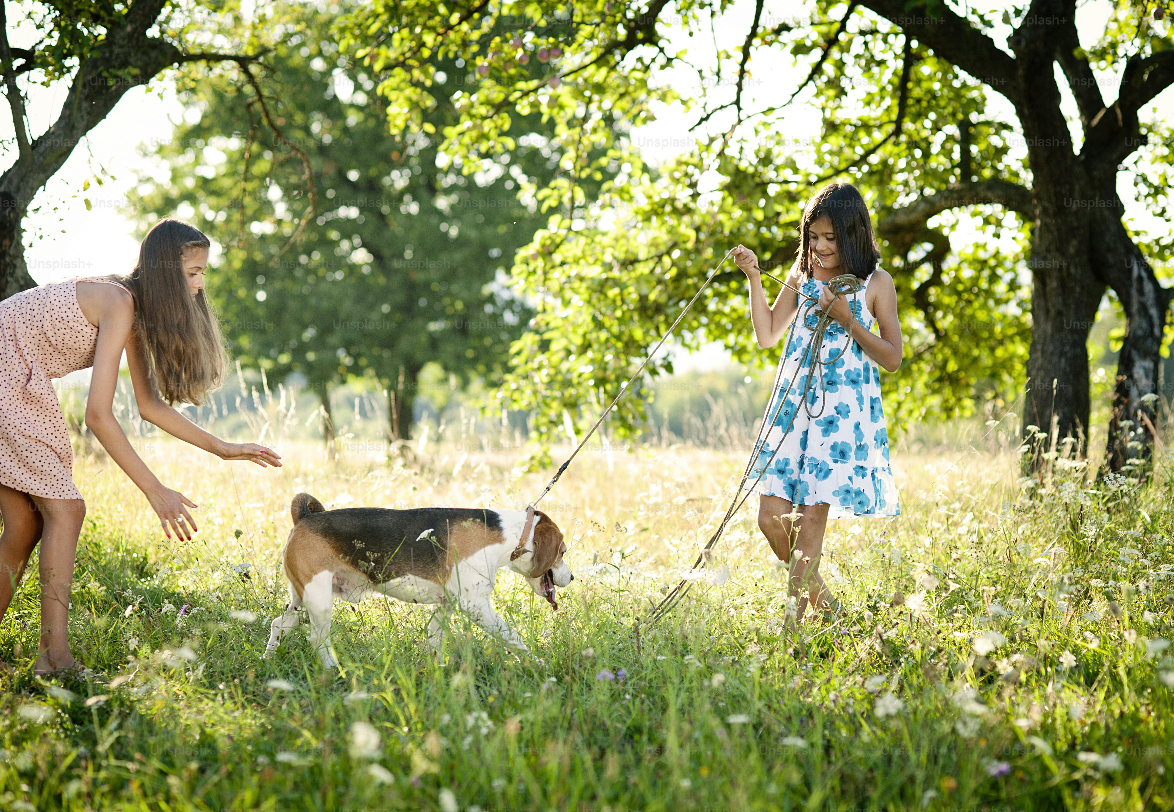 Foto Dos hermanas jugando con su perro beagle en un parque verde y ...