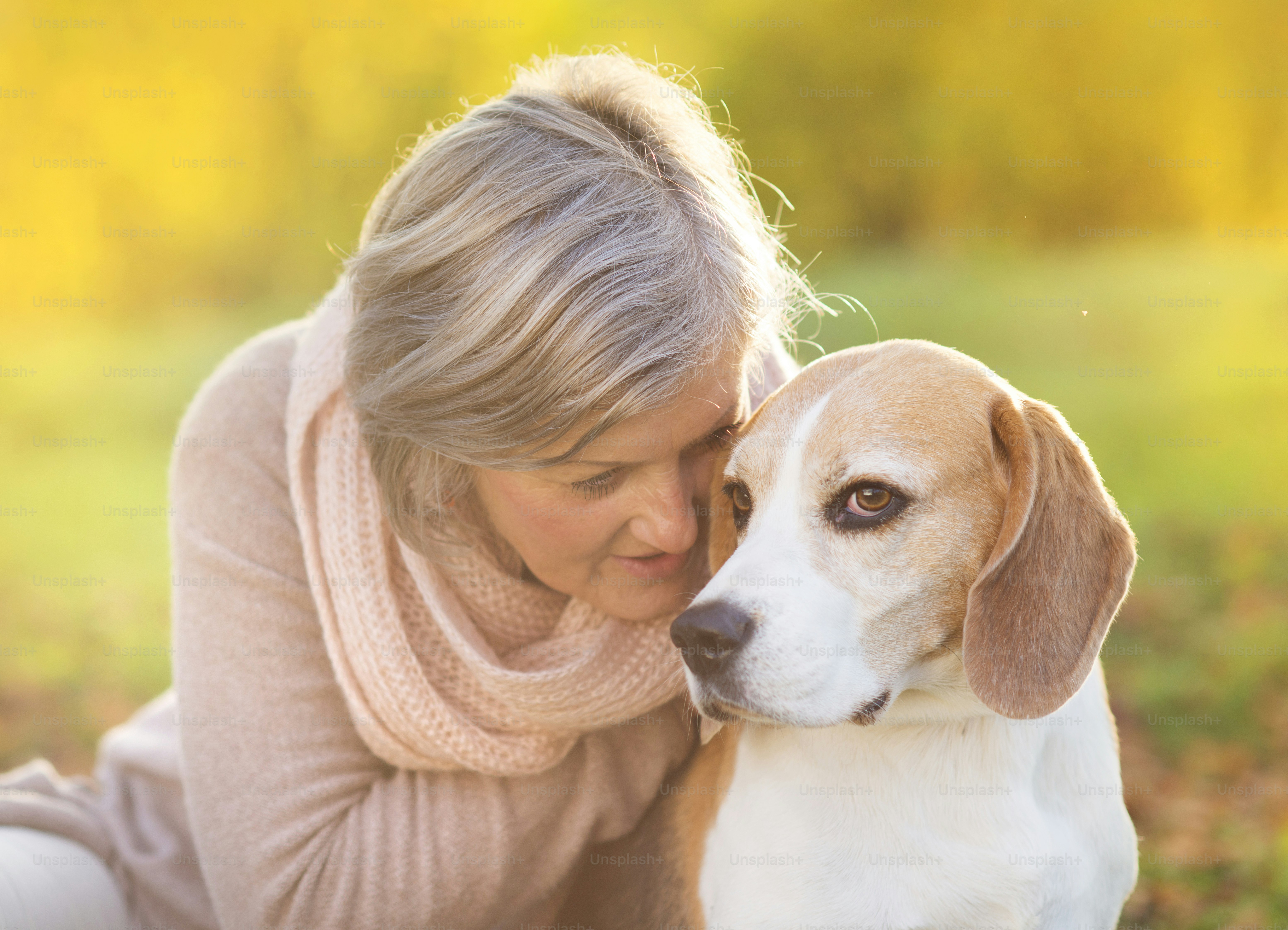 Mujer mayor abraza a su perro beagle en el campo foto – Imagen de Mujer ...