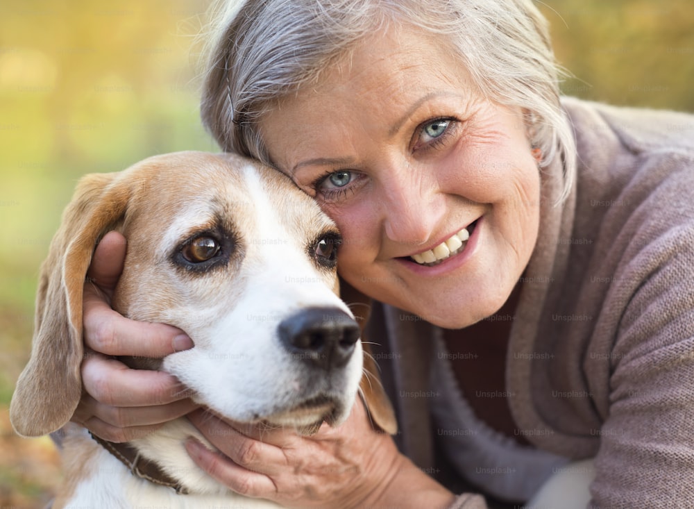 Senior woman hugs her beagle dog in countryside