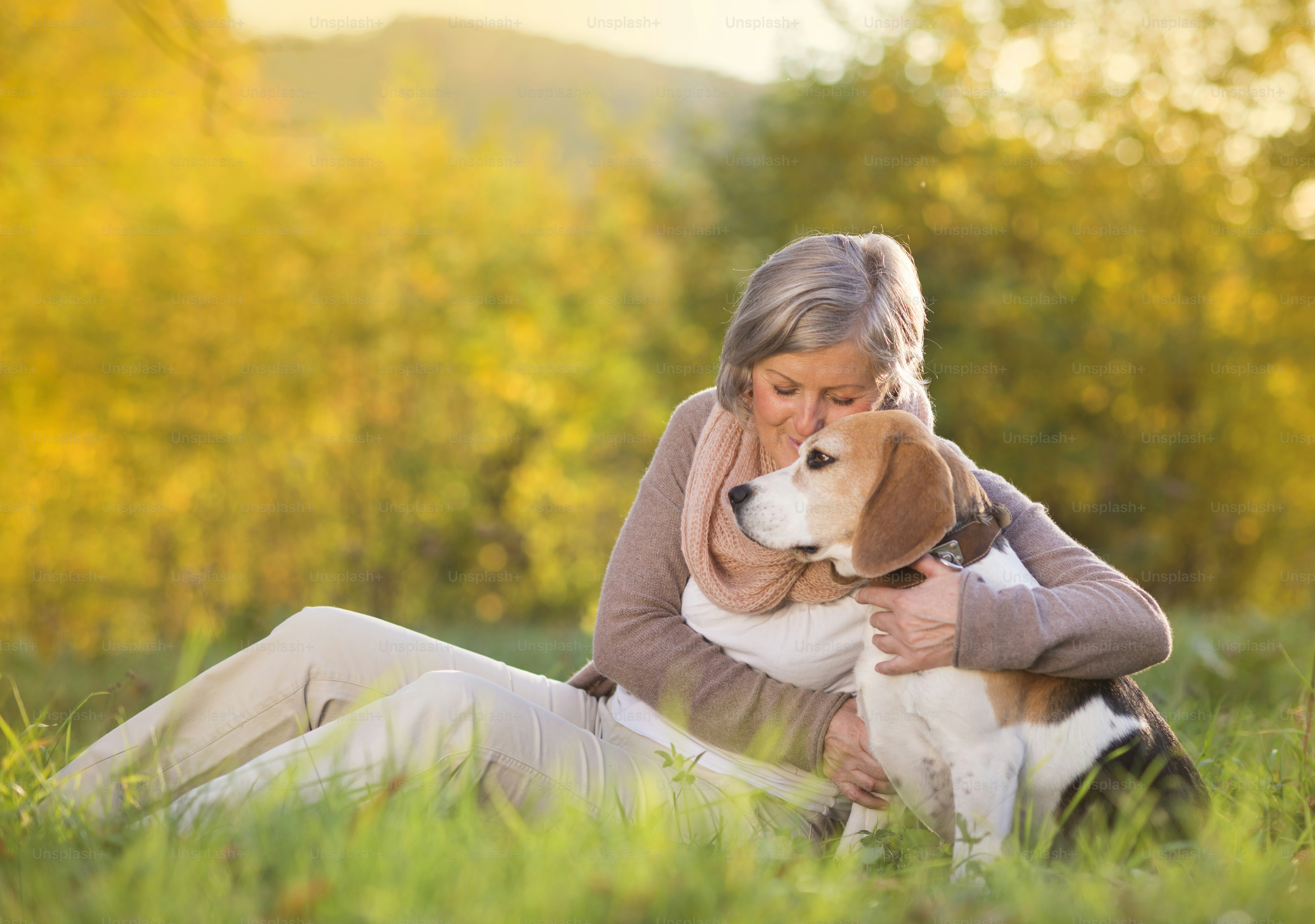 Mujer mayor abraza a su perro beagle en el campo foto – Imagen de Mujer ...