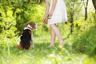 Retrato de una mujer con su hermoso perro al aire libre