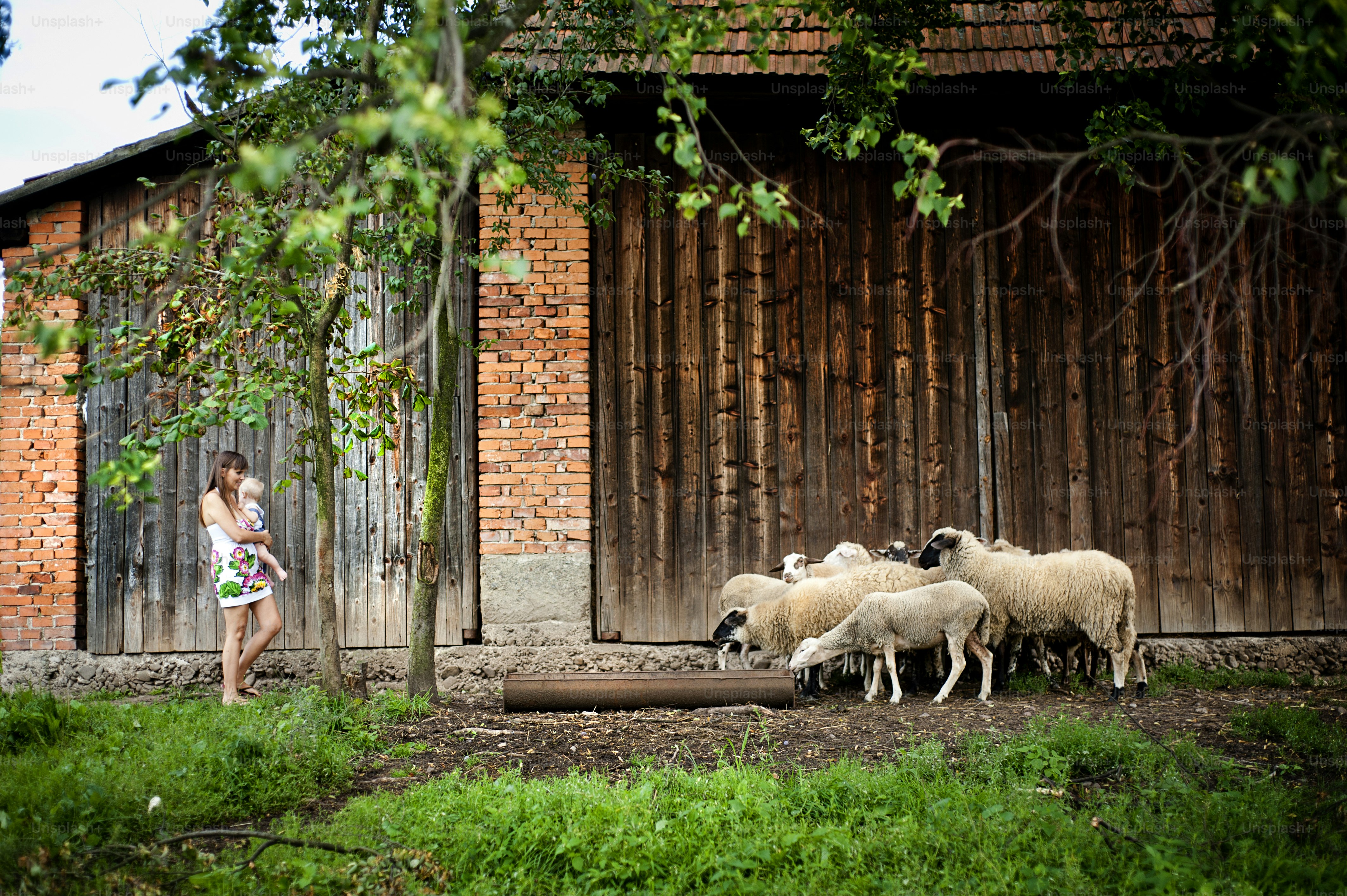 Young family is enjoying a day on the farm