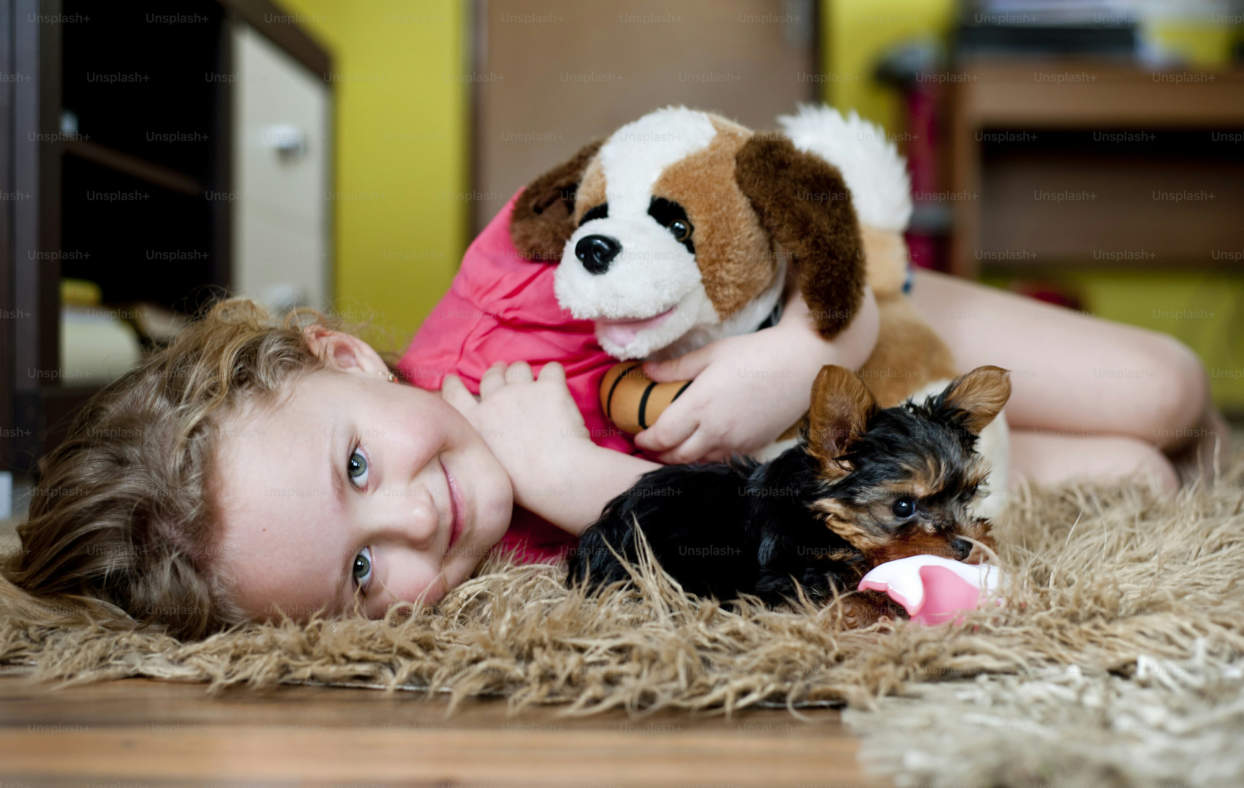 Little girl is playing with her puppy at home