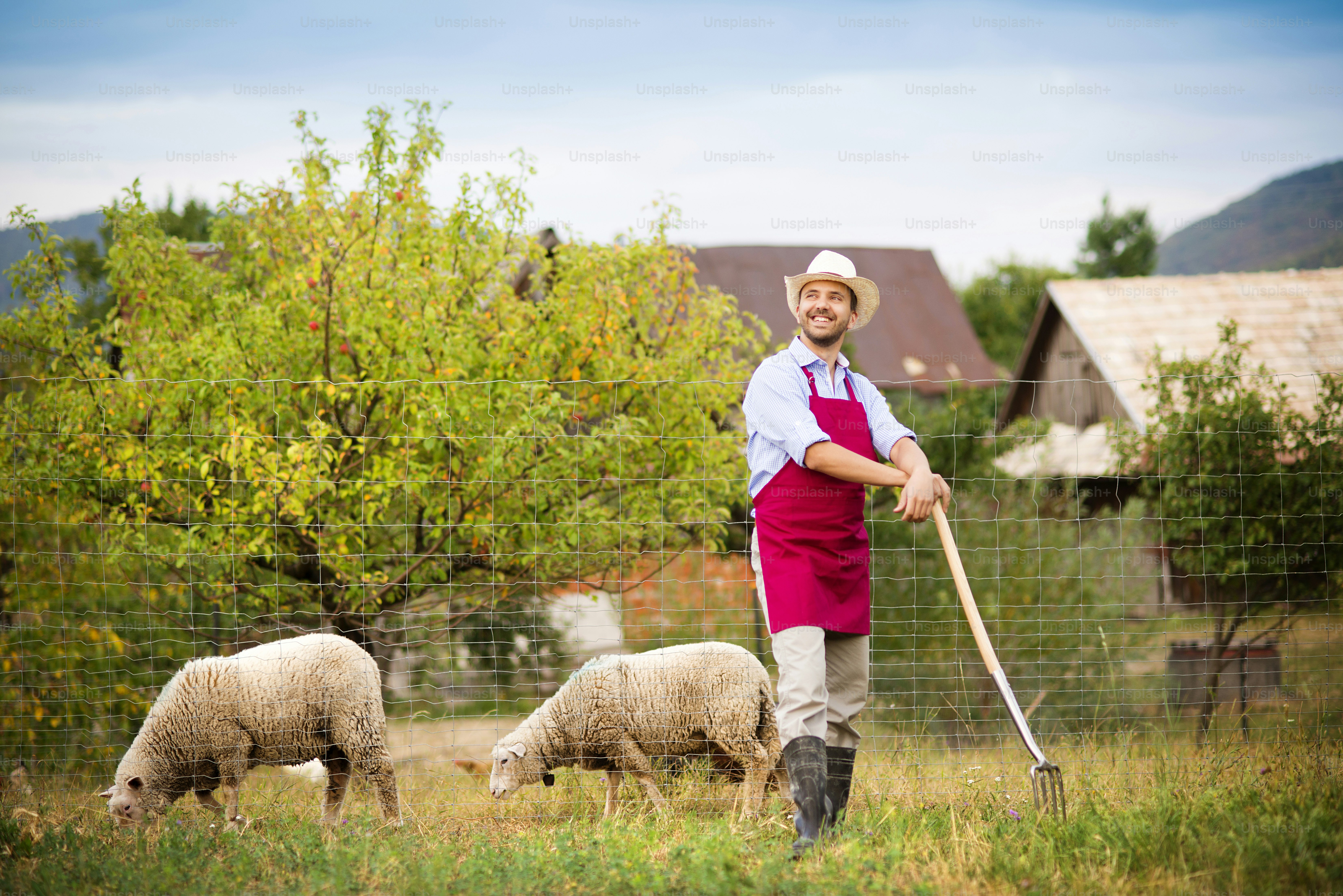 6 Must-Have Tools to Start Grazing on Small Farms