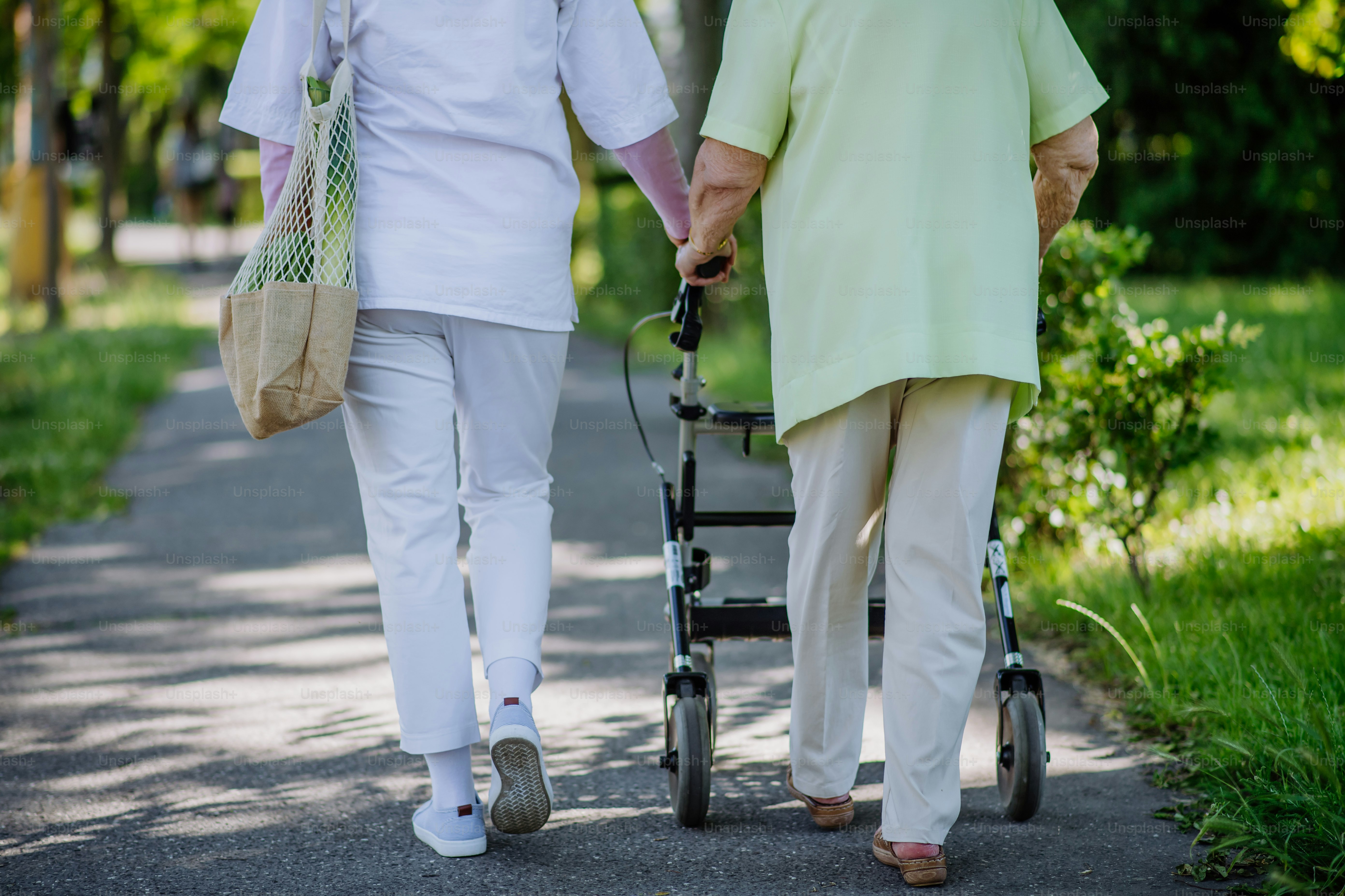 A rear view of caregiver with senior woman on walk with walker in park with shopping bag.