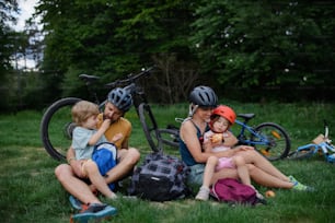 자전거를 타고 쉬고 있는 어린 아이들을 둔 젊은 가족, 여름에 공원의 잔디밭에 앉아 있다.