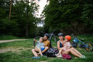 자전거를 타고 쉬고 있는 어린 아이들을 둔 젊은 가족, 여름에 공원의 잔디밭에 앉아 있다.