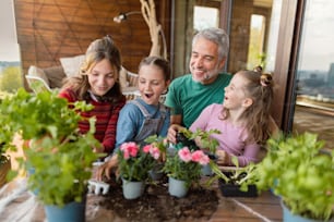 Três filhas ajudando um pai a plantar flores, conceito de jardinagem em casa
