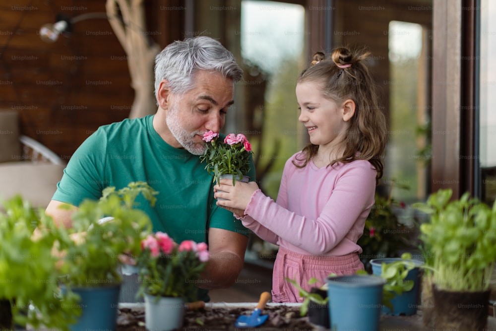 A little daughter helping father to plant flowers, home gardening concept