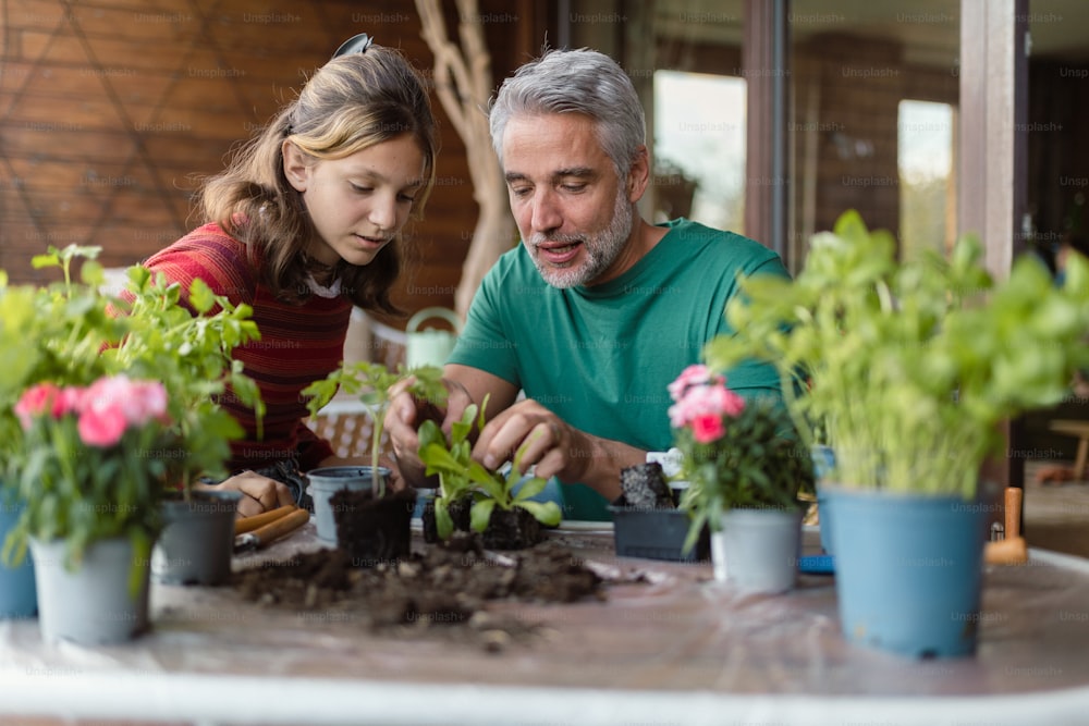 A teenage daughter helping father to plant flowers, home gardening concept