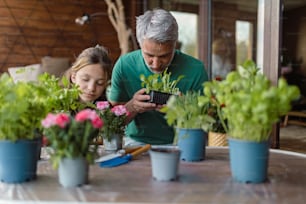 Uma filha adolescente ajudando o pai a plantar flores, conceito de jardinagem em casa