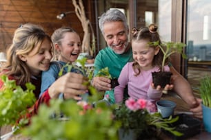 Three daughters helping a father to plant flowers, home gardening concept
