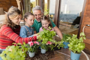 Trois filles aident un père à planter des fleurs, concept de jardinage domestique